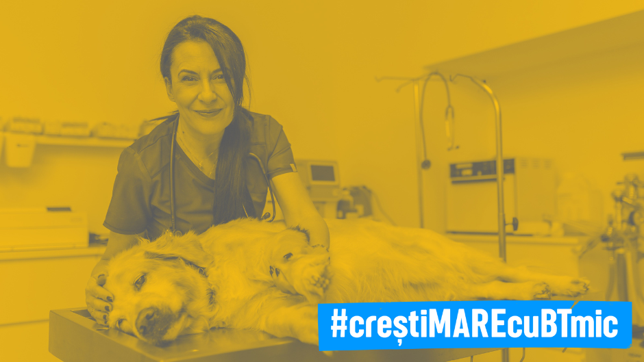 Di-Pet Centrum-Clinica Veterinara
