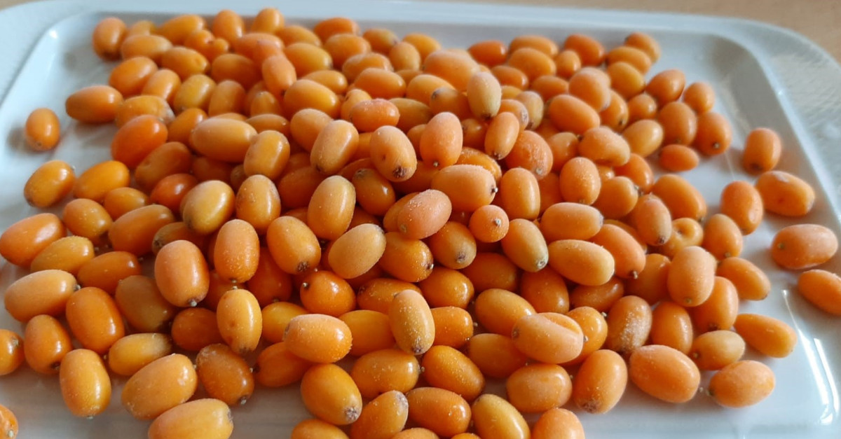 Kinga de la BDK Cătină Bio este unul dintre #clientiiBTMic