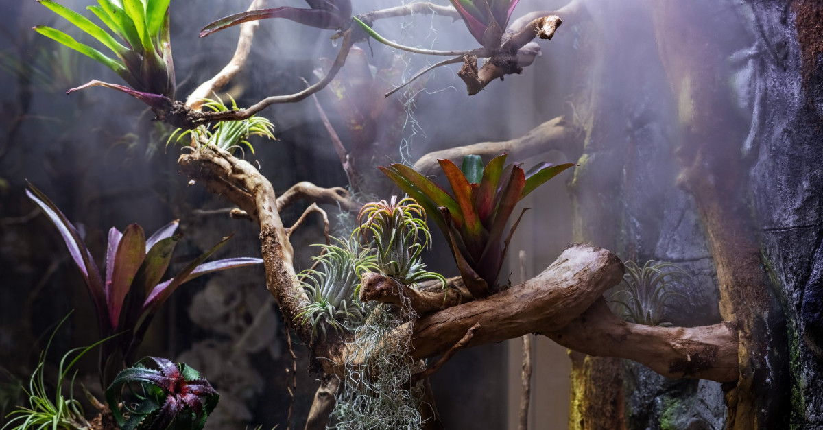 Adrian de la TOUCH este unul dintre #clientiiBTMic