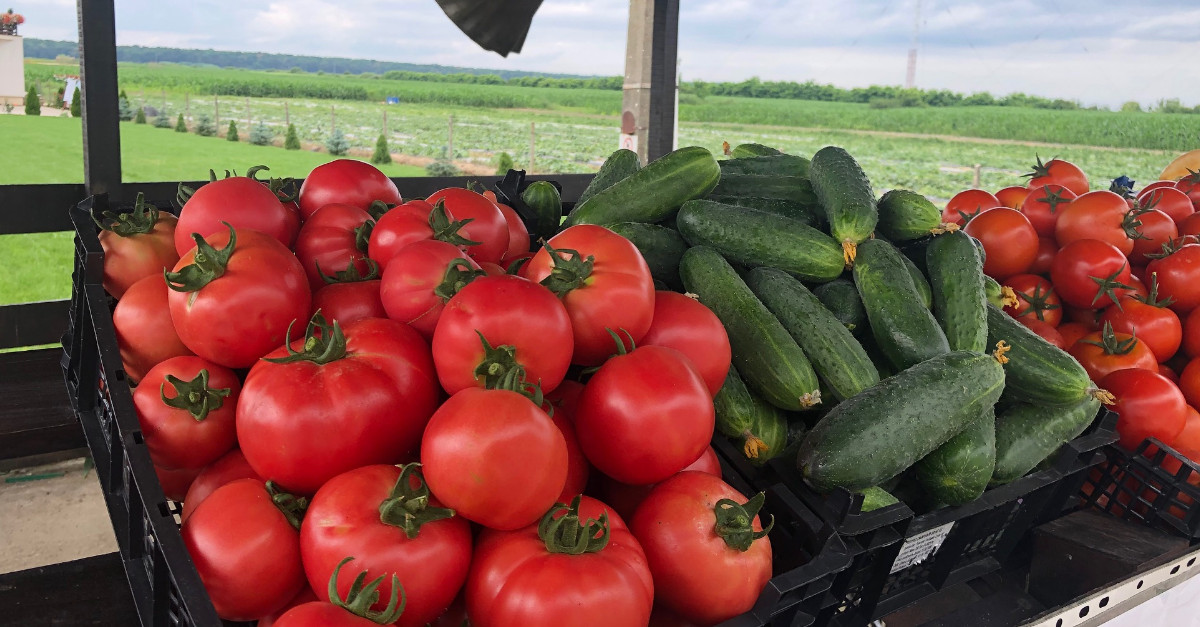 Alin de la Vraja Legumelor de la Botiz este unul dintre #clientiiBTMic